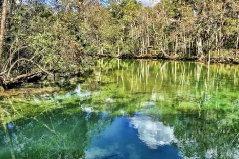 Scenic view of clear greenish-blue water surrounded by trees.